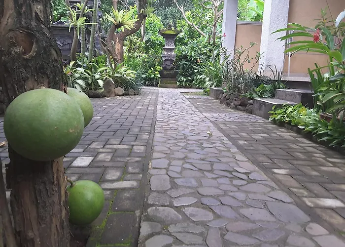 Kubuku Homestay * آميدْ