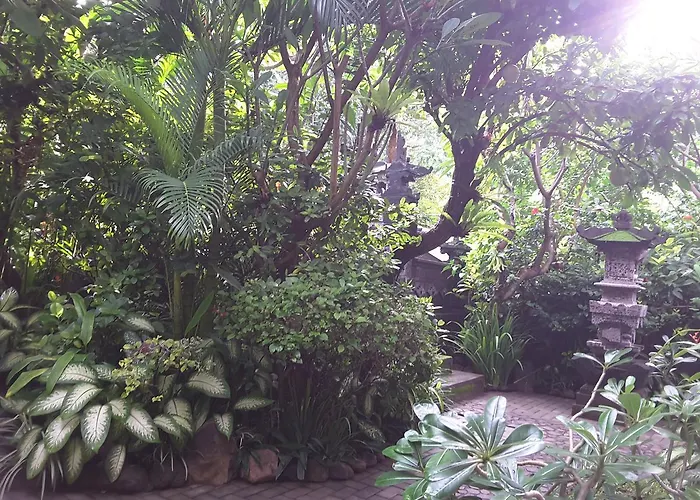 Kubuku Homestay * آميدْ